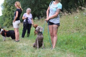 imgi_6_galerie-2018-enzauenpark-5-300x200