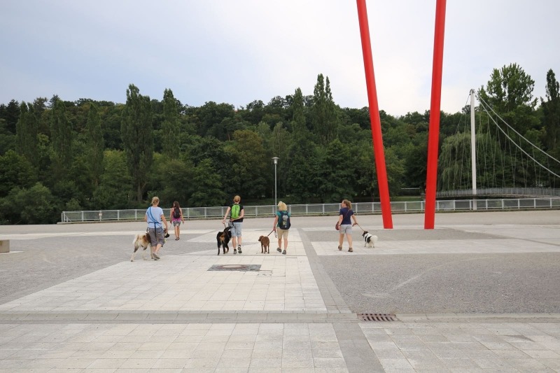 imgi_71_galerie-2018-enzauenpark-1
