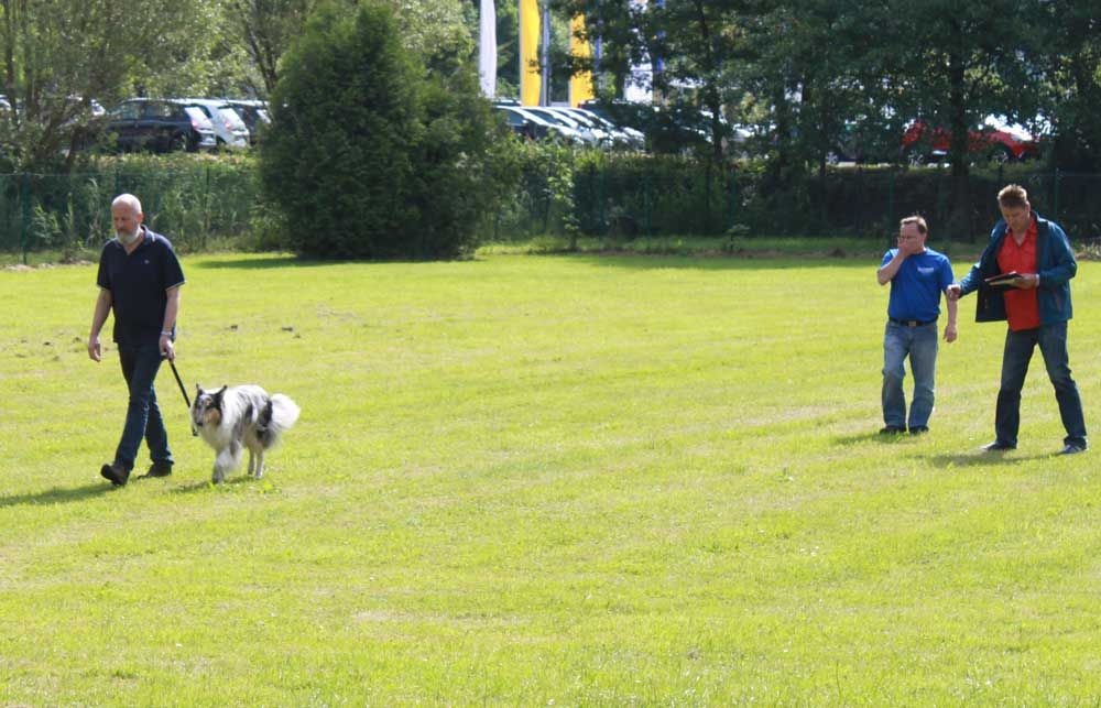 imgi_71_teamtest-ettlingen-2016-3