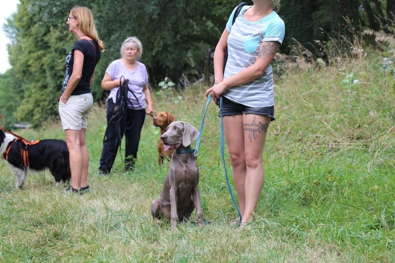 imgi_75_galerie-2018-enzauenpark-5