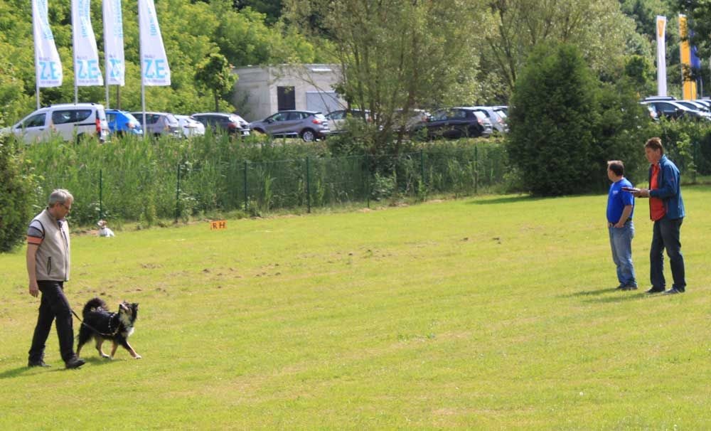 imgi_77_teamtest-ettlingen-2016-9