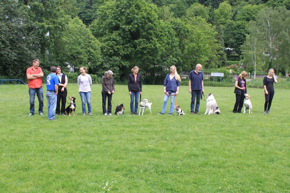 imgi_84_teamtest-ettlingen-2016-16