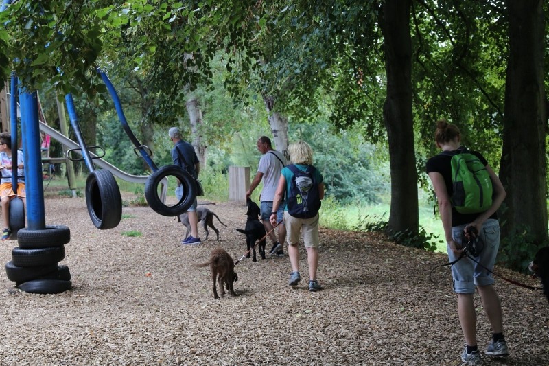 imgi_86_galerie-2018-enzauenpark-16