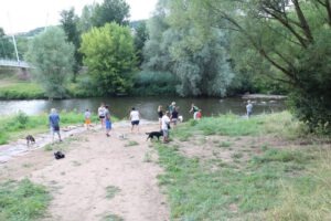 imgi_8_galerie-2018-enzauenpark-7-300x200