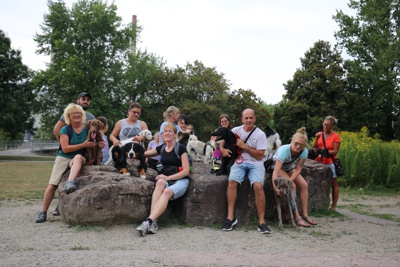 imgi_92_galerie-2018-enzauenpark-22