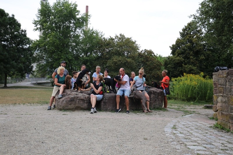imgi_93_galerie-2018-enzauenpark-23