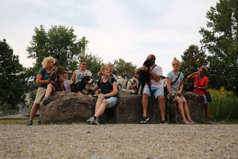 imgi_94_galerie-2018-enzauenpark-24