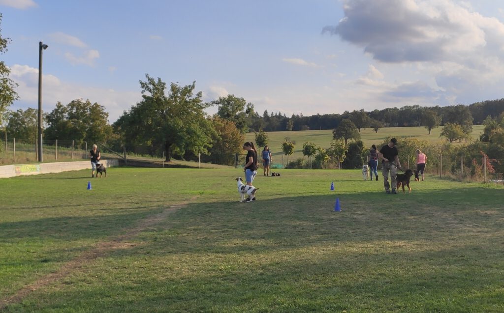 imgi_97_theme-trainingsangebot