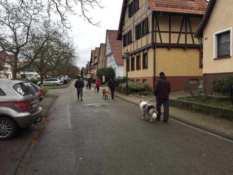 teamtest-tmh-2016-10-768x576