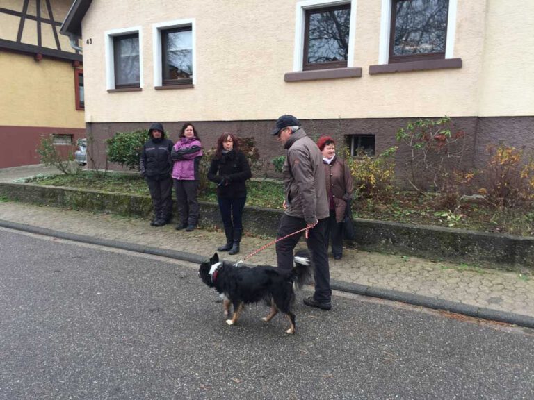 teamtest-tmh-2016-11-768x576