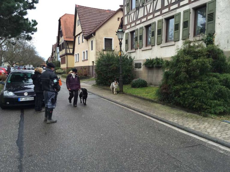 teamtest-tmh-2016-13-768x576