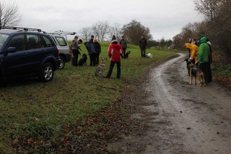 teamtest-tmh-2016-19-768x512