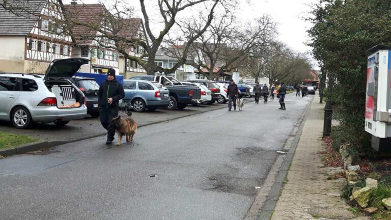 teamtest-tmh-2016-2-768x432