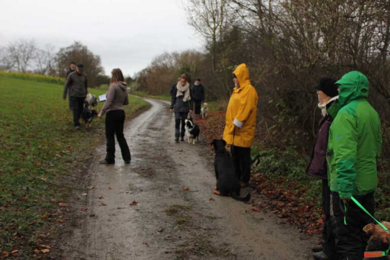 teamtest-tmh-2016-20-768x512