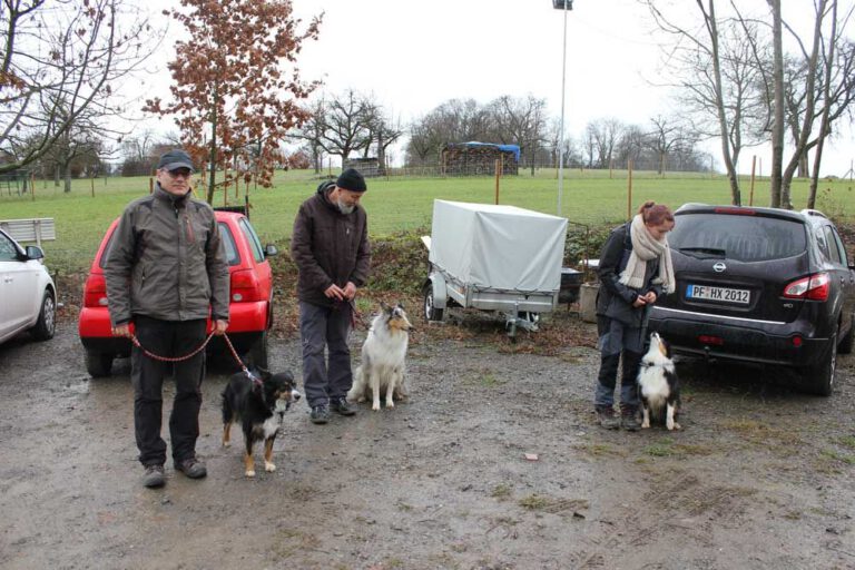 teamtest-tmh-2016-21-768x512