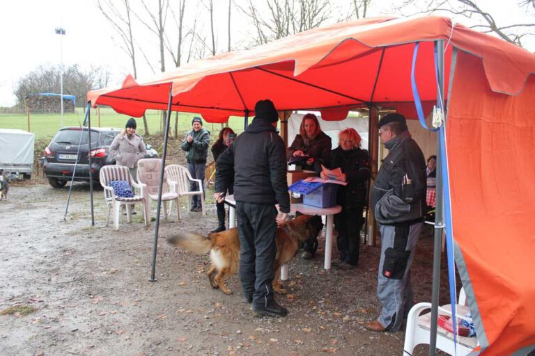 teamtest-tmh-2016-24-768x512