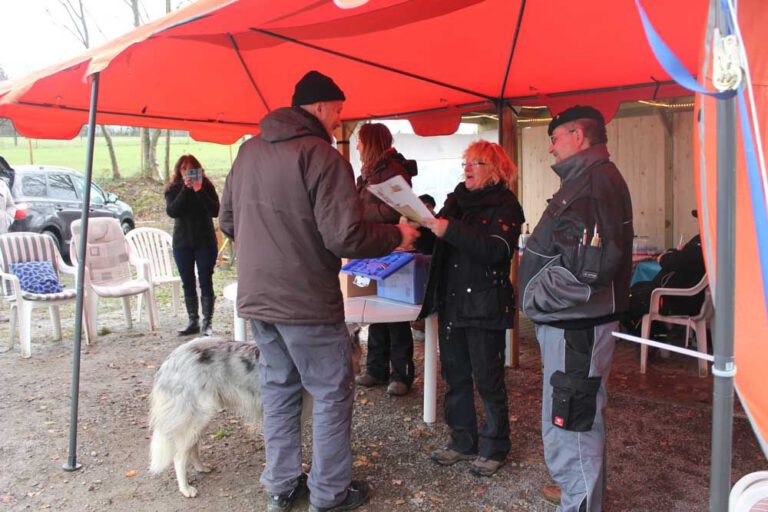 teamtest-tmh-2016-26-768x512