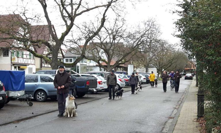 teamtest-tmh-2016-3-768x463