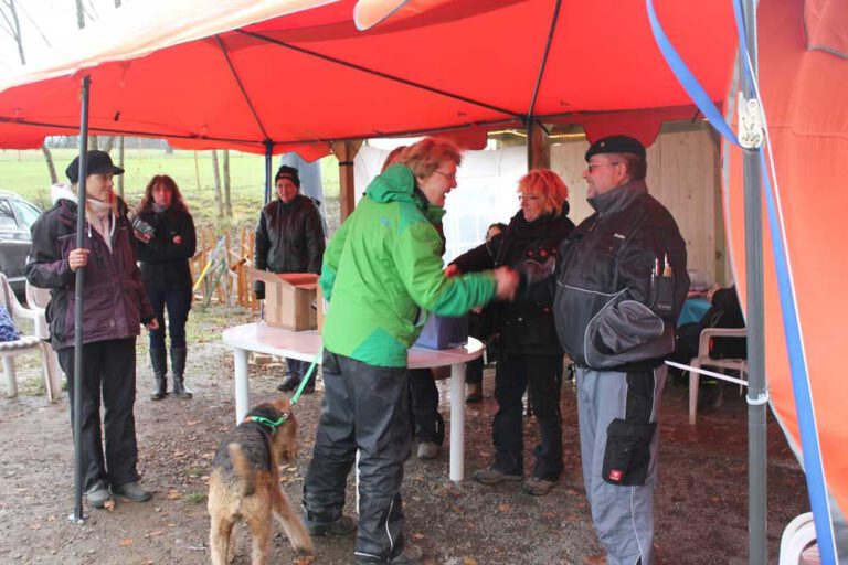 teamtest-tmh-2016-30-768x512