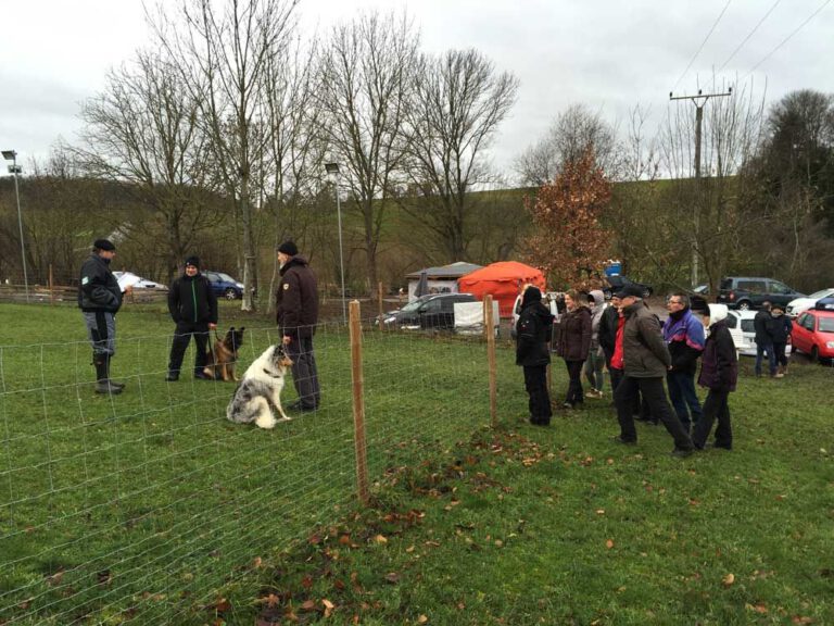 teamtest-tmh-2016-7-768x576