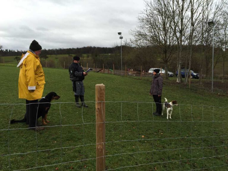 teamtest-tmh-2016-8-768x576