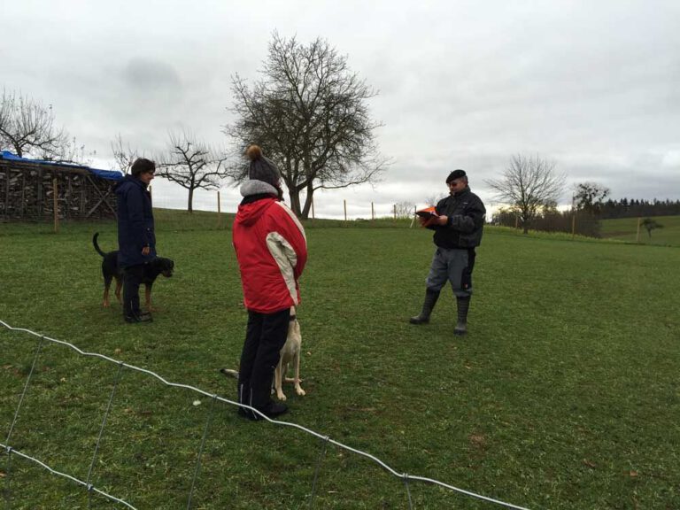 teamtest-tmh-2016-9-768x576